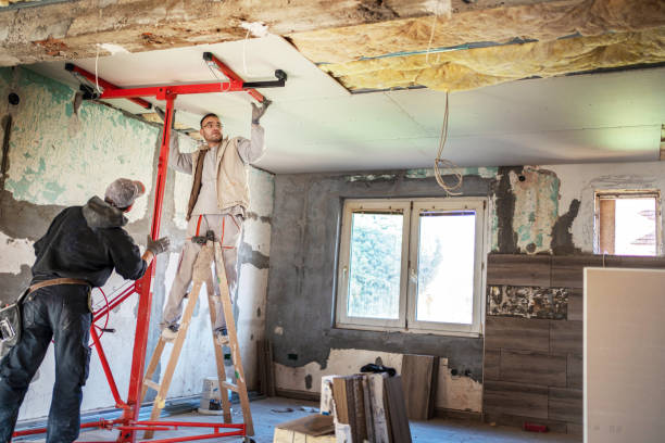 Insulation Repair Services in Kent Acres, DE